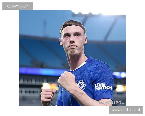 帕尔默效率与战术角色匹配度分析